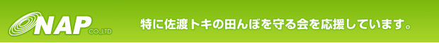 NAP/四季旬菜館