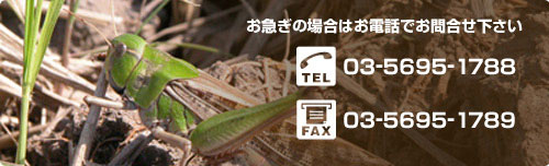 お急ぎの場合はお電話でお問合せ下さい TEL:04-7108-3377 FAX:04-7108-3378