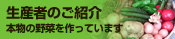 生産者のご紹介 本物の野菜を作っています